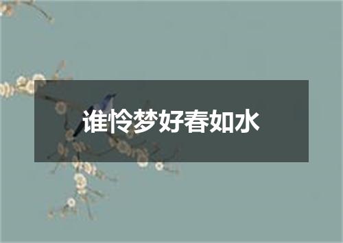 谁怜梦好春如水