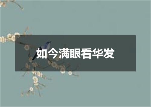如今满眼看华发