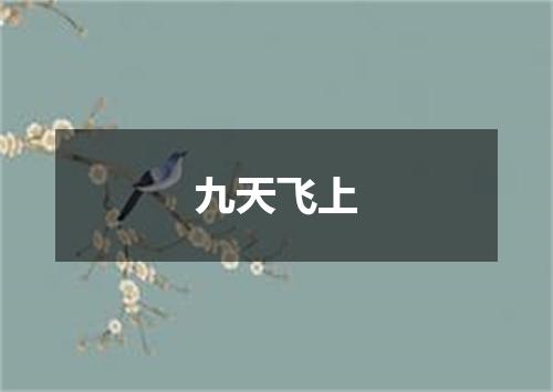 九天飞上