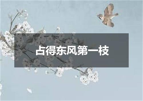 占得东风第一枝