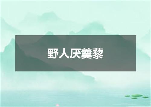 野人厌羹藜