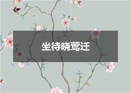 坐待晓莺迁
