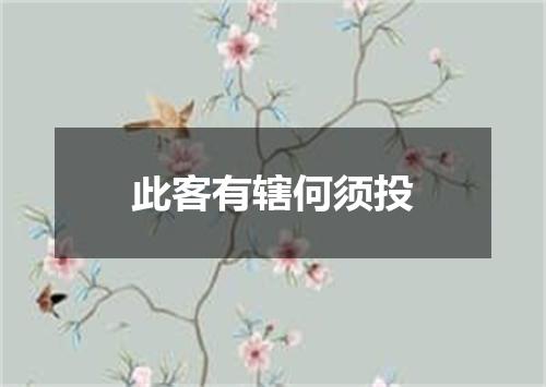 此客有辖何须投