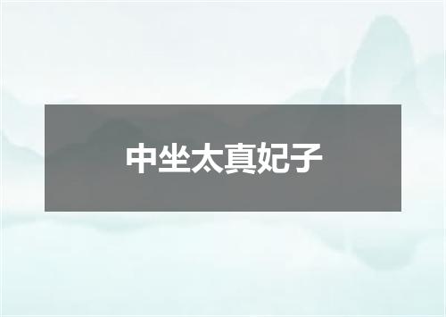 中坐太真妃子
