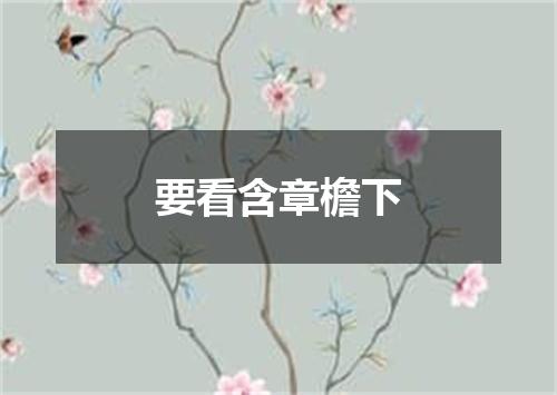 要看含章檐下