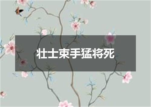 壮士束手猛将死