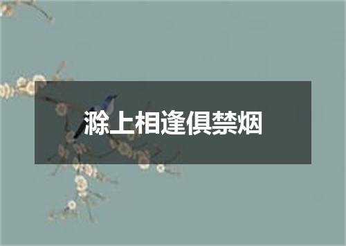 滁上相逢俱禁烟