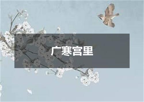 广寒宫里