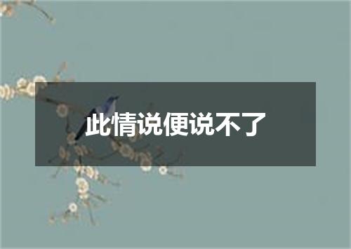 此情说便说不了