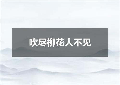 吹尽柳花人不见