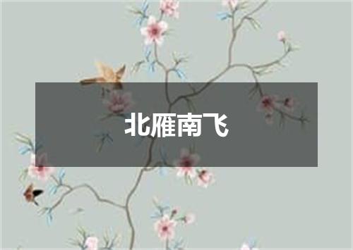 北雁南飞