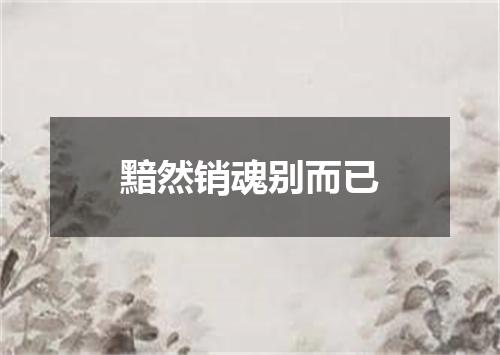 黯然销魂别而已