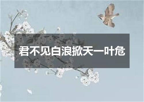 君不见白浪掀天一叶危