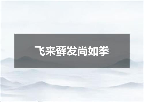 飞来藓发尚如拳