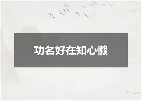 功名好在知心懒