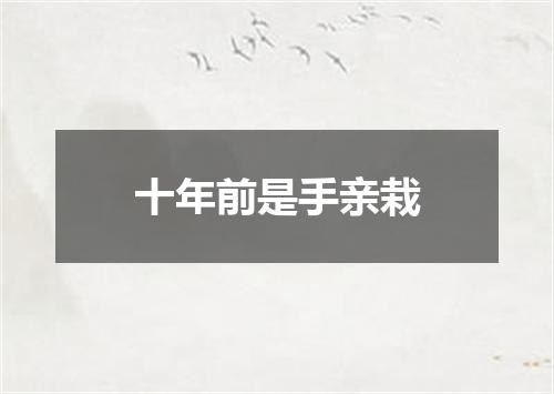 十年前是手亲栽