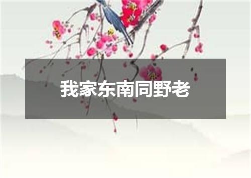 我家东南同野老