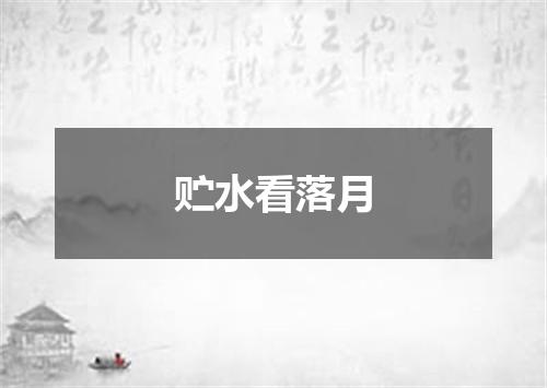 贮水看落月