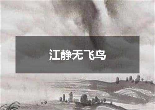 江静无飞鸟