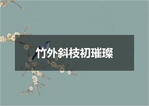 竹外斜枝初璀璨
