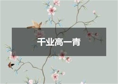 千业高一青