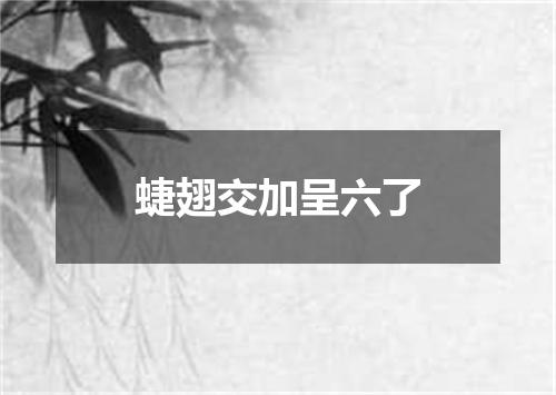 蜨翅交加呈六了
