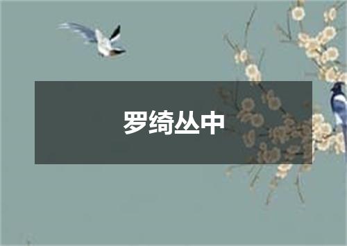 罗绮丛中