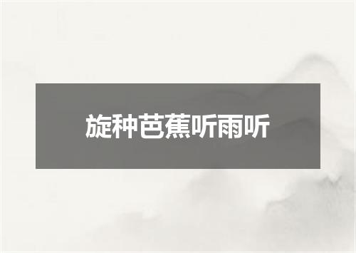 旋种芭蕉听雨听