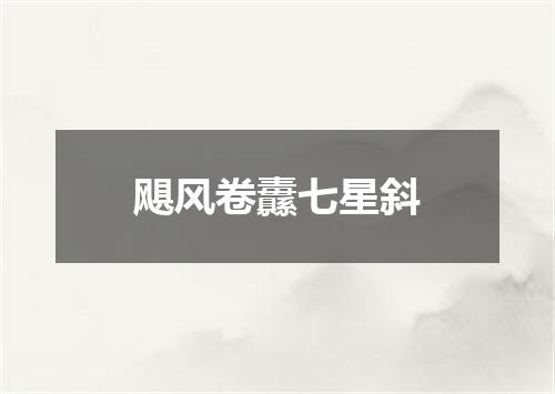 飓风卷纛七星斜
