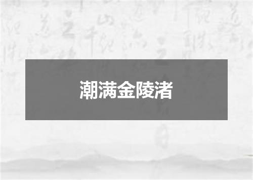 潮满金陵渚