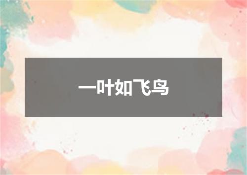 一叶如飞鸟