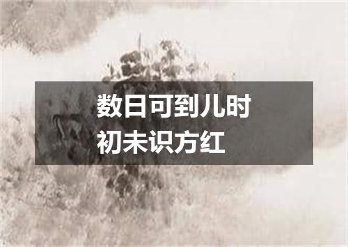 数日可到儿时初未识方红
