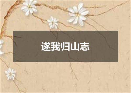 遂我归山志
