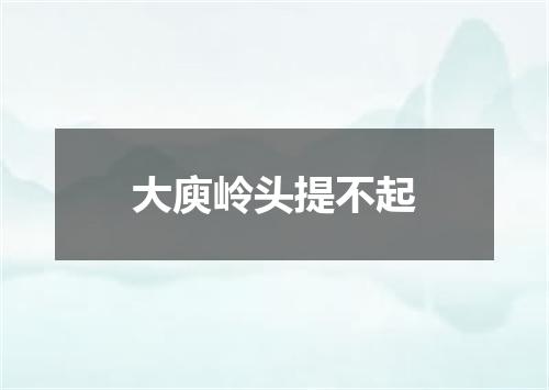 大庾岭头提不起