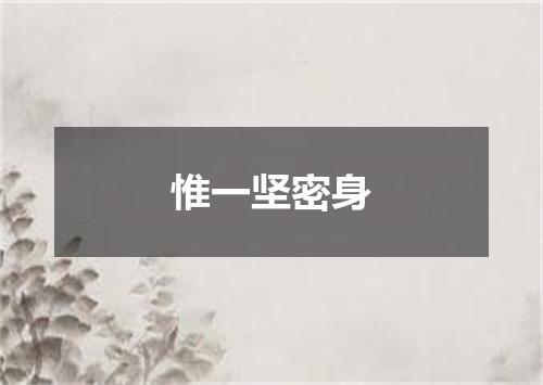 惟一坚密身