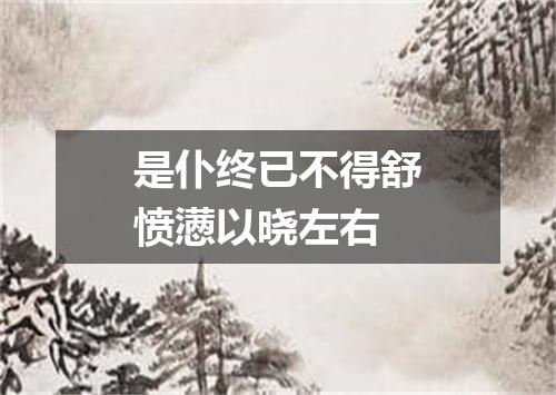 是仆终已不得舒愤懑以晓左右