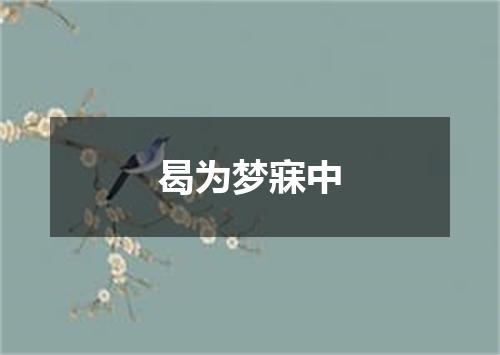 曷为梦寐中