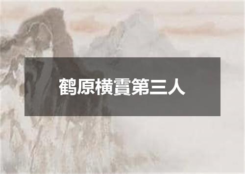 鹤原横霣第三人