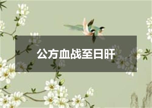 公方血战至日旰