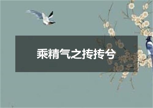 乘精气之抟抟兮