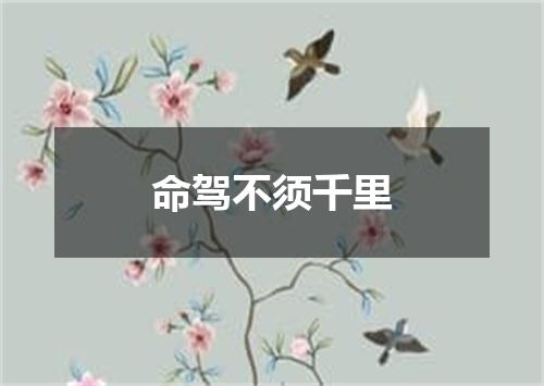 命驾不须千里