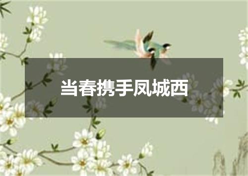 当春携手凤城西