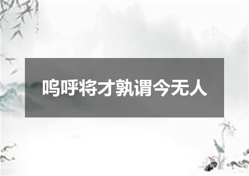 呜呼将才孰谓今无人