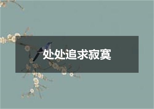 处处追求寂寞