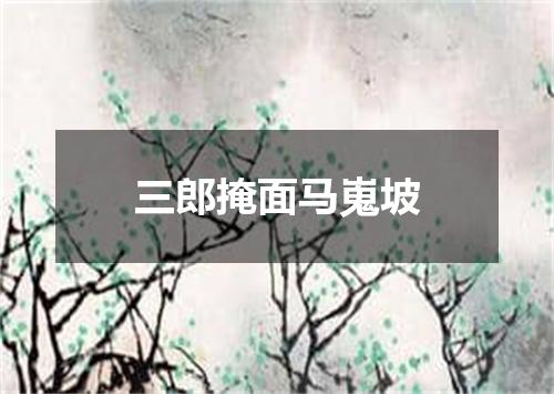 三郎掩面马嵬坡