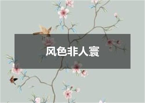 风色非人寰