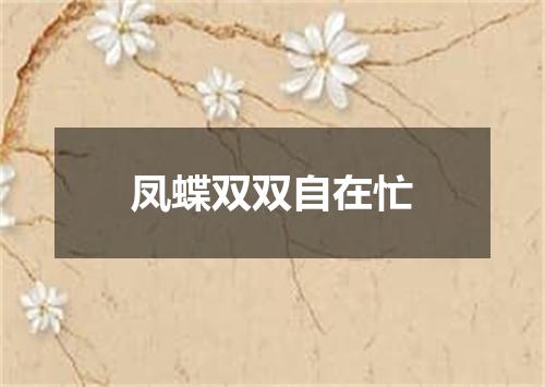 凤蝶双双自在忙