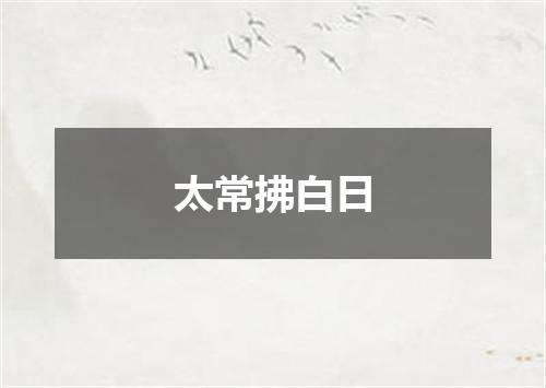 太常拂白日