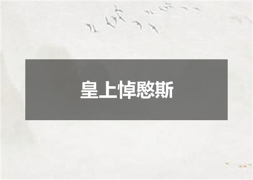 皇上悼愍斯