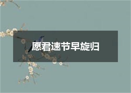 愿君速节早旋归